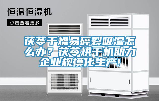 茯苓干燥易碎裂吸濕怎么辦？茯苓烘干機(jī)助力企業(yè)規(guī)模化生產(chǎn)!