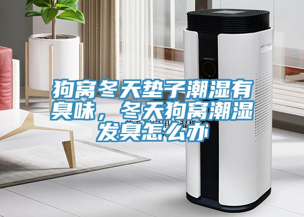 狗窩冬天墊子潮濕有臭味，冬天狗窩潮濕發臭怎么辦