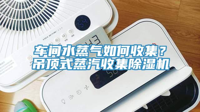 車間水蒸氣如何收集？吊頂式蒸汽收集除濕機(jī)