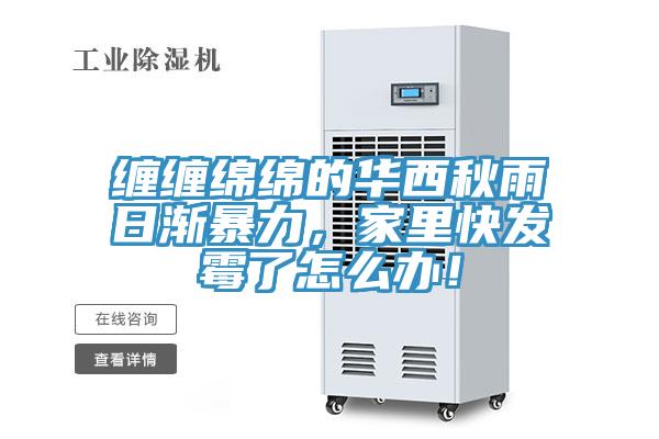 纏纏綿綿的華西秋雨日漸暴力，家里快發(fā)霉了怎么辦！