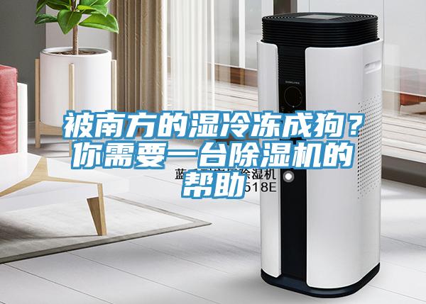 被南方的濕冷凍成狗？你需要一臺除濕機的幫助