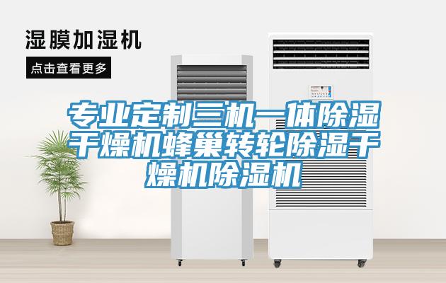 專業定制三機一體除濕干燥機蜂巢轉輪除濕干燥機除濕機