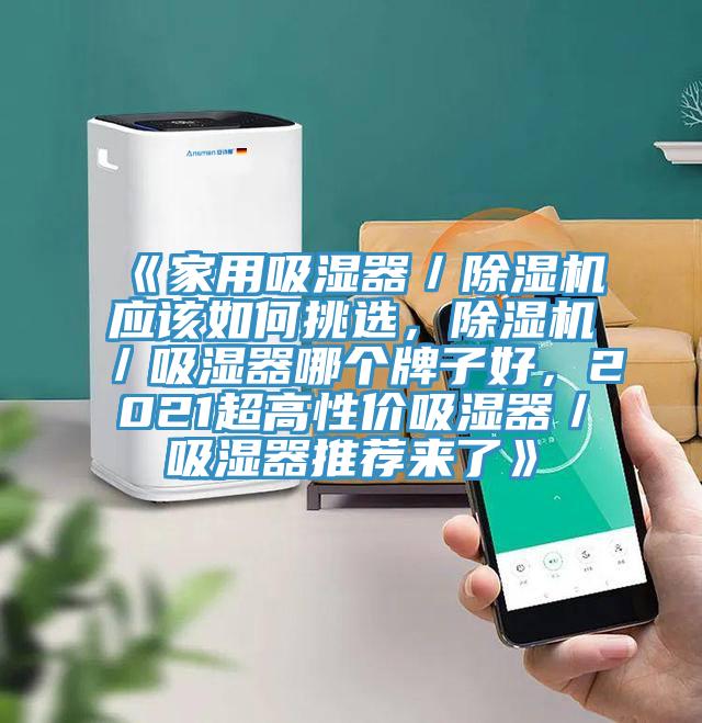 《家用吸濕器／除濕機(jī)應(yīng)該如何挑選，除濕機(jī)／吸濕器哪個(gè)牌子好，2021超高性?xún)r(jià)吸濕器／吸濕器推薦來(lái)了》