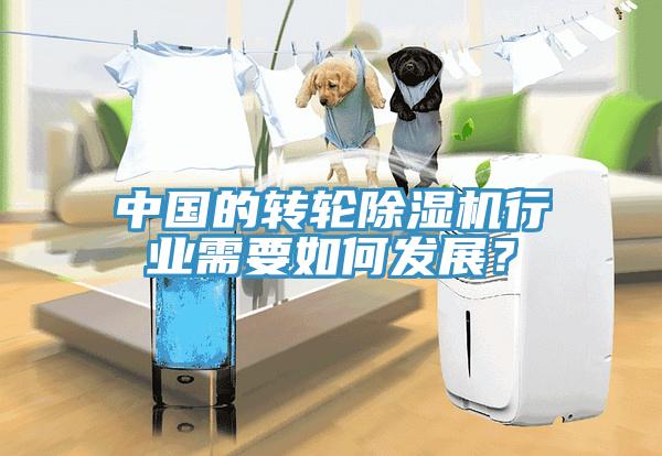 中國的轉輪除濕機行業需要如何發展？
