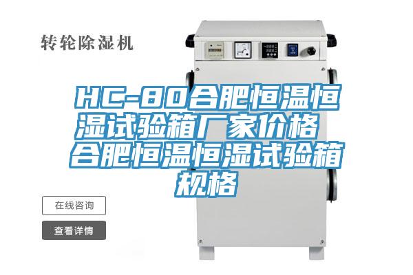 HC-80合肥恒溫恒濕試驗(yàn)箱廠家價格 合肥恒溫恒濕試驗(yàn)箱規(guī)格