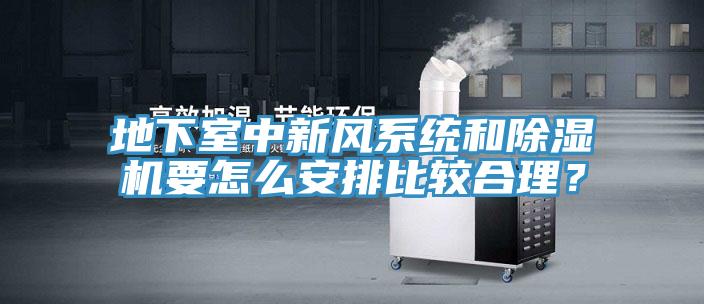 地下室中新風(fēng)系統(tǒng)和除濕機(jī)要怎么安排比較合理？