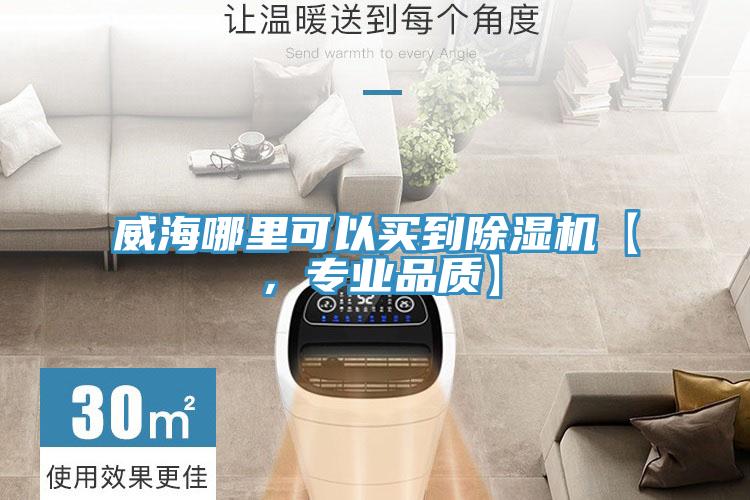 威海哪里可以買到除濕機【，專業(yè)品質】