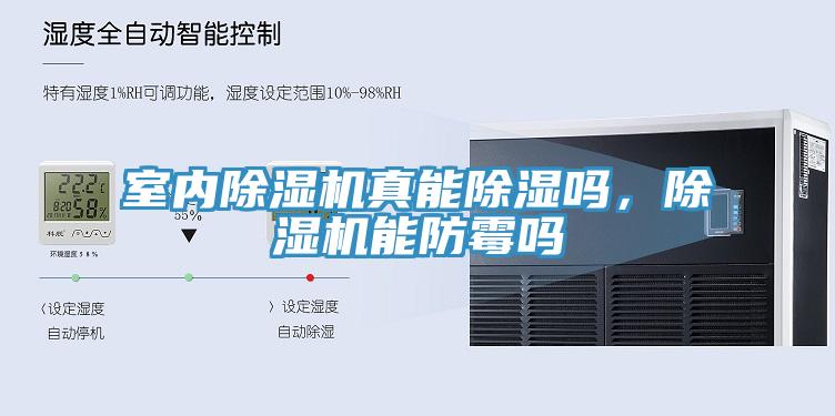 室內(nèi)除濕機真能除濕嗎，除濕機能防霉嗎