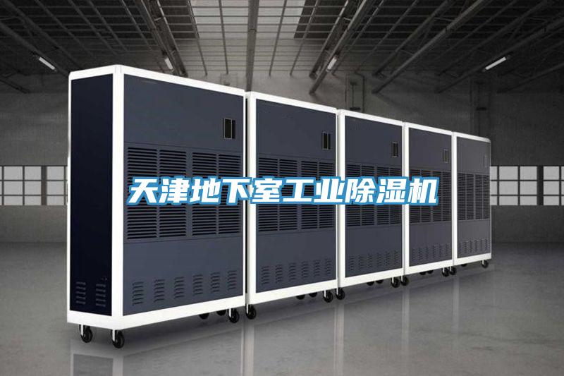 天津地下室工業除濕機