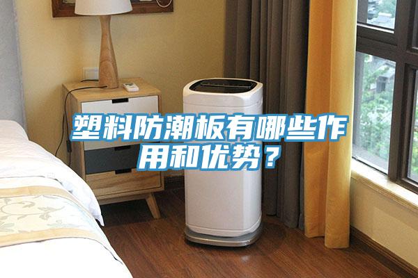 塑料防潮板有哪些作用和優(yōu)勢？
