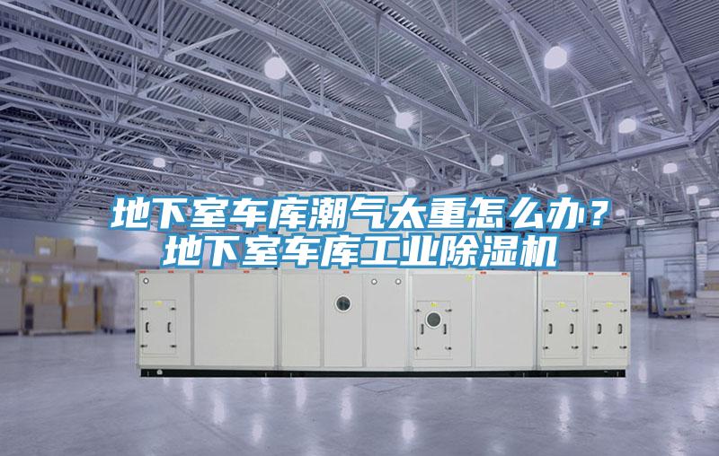 地下室車庫潮氣太重怎么辦？地下室車庫工業(yè)除濕機(jī)