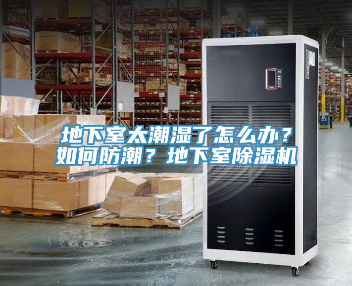 地下室太潮濕了怎么辦？如何防潮？地下室除濕機