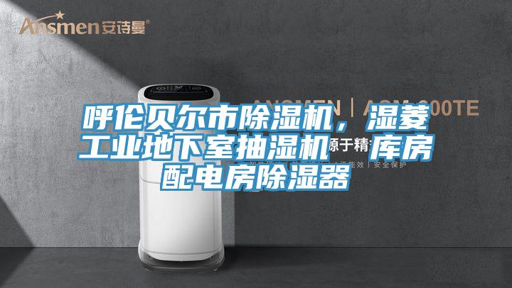 呼倫貝爾市除濕機(jī)，濕菱工業(yè)地下室抽濕機(jī)  庫房配電房除濕器