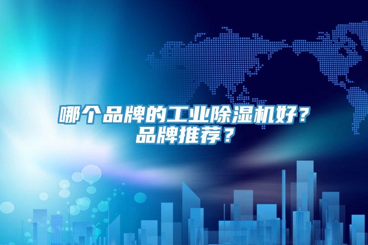 哪個(gè)品牌的工業(yè)除濕機(jī)好？品牌推薦？