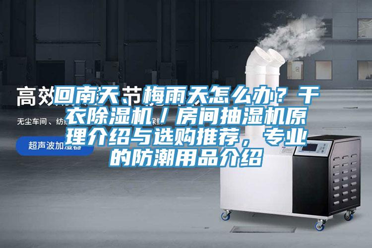 回南天、梅雨天怎么辦？干衣除濕機／房間抽濕機原理介紹與選購推薦，專業的防潮用品介紹