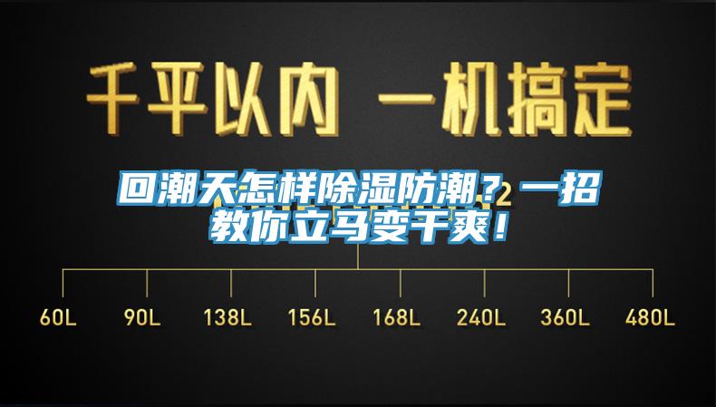 回潮天怎樣除濕防潮？一招教你立馬變干爽！