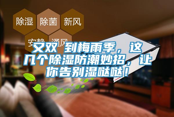 又雙叒到梅雨季，這幾個除濕防潮妙招，讓你告別濕噠噠！