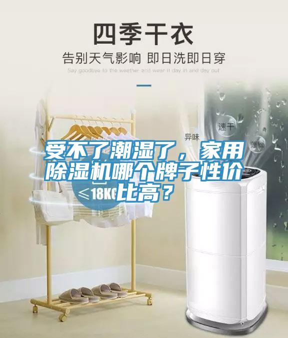 受不了潮濕了，家用除濕機哪個牌子性價比高？