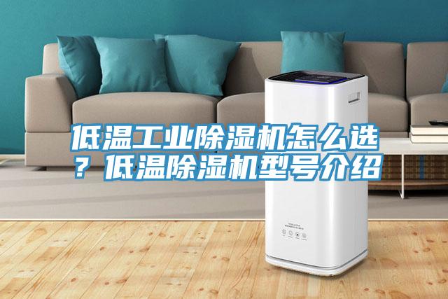 低溫工業(yè)除濕機怎么選？低溫除濕機型號介紹