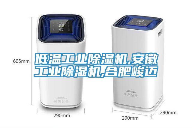 低溫工業(yè)除濕機,安徽工業(yè)除濕機,合肥峻邁
