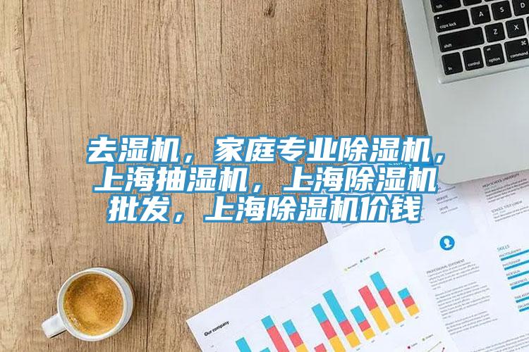 去濕機，家庭專業除濕機，上海抽濕機，上海除濕機批發，上海除濕機價錢