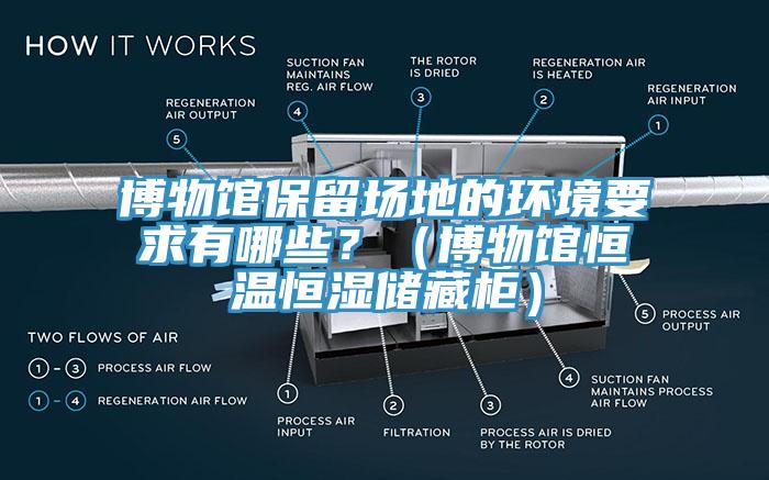 博物館保留場地的環境要求有哪些？（博物館恒溫恒濕儲藏柜）