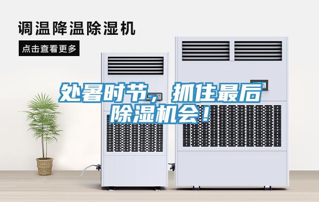 處暑時(shí)節(jié)，抓住最后除濕機(jī)會(huì)！