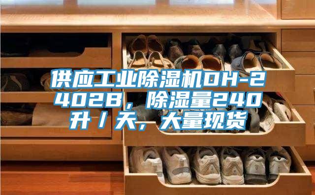 供應工業除濕機DH-2402B，除濕量240升／天，大量現貨