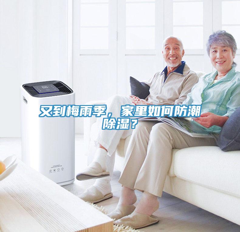 又到梅雨季，家里如何防潮除濕？