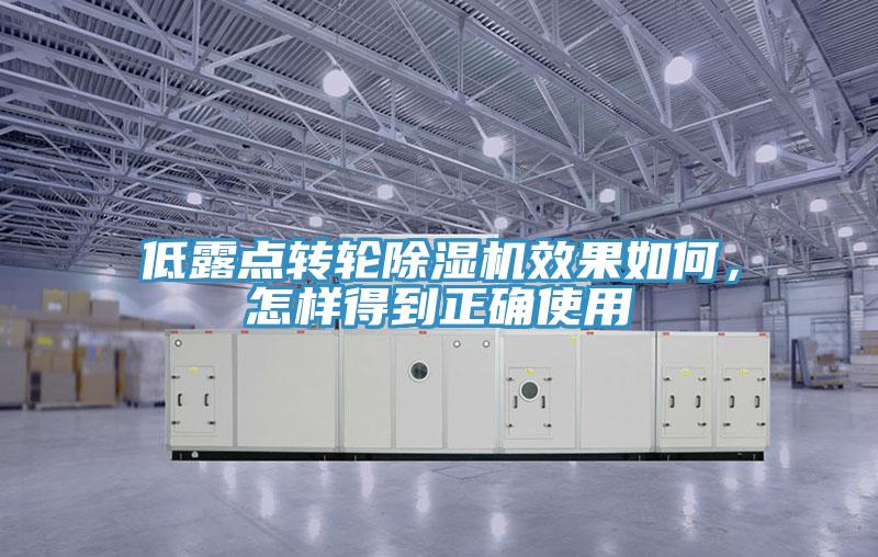低露點(diǎn)轉(zhuǎn)輪除濕機(jī)效果如何，怎樣得到正確使用