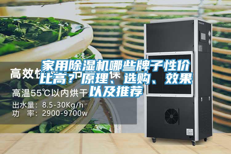 家用除濕機哪些牌子性價比高？原理、選購、效果以及推薦