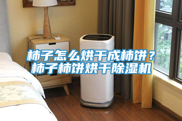柿子怎么烘干成柿餅？柿子柿餅烘干除濕機