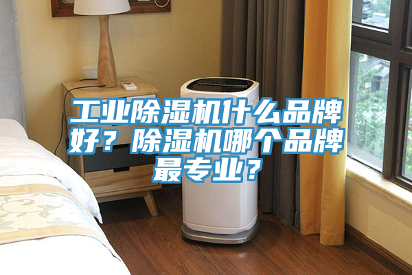 工業(yè)除濕機(jī)什么品牌好？除濕機(jī)哪個品牌最專業(yè)？