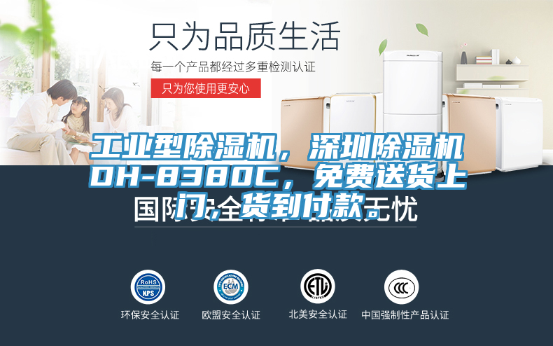工業型除濕機，深圳除濕機DH-8380C，免費送貨上門，貨到付款。