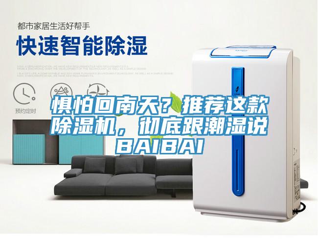 懼怕回南天？推薦這款除濕機，徹底跟潮濕說BAIBAI