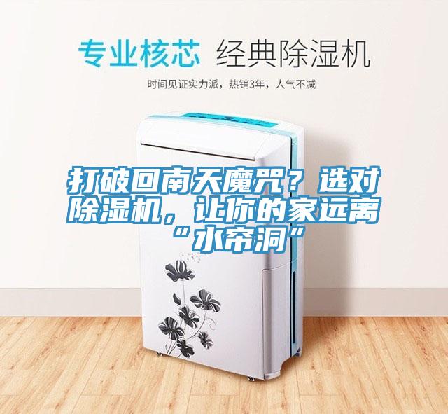 打破回南天魔咒？選對除濕機，讓你的家遠離“水簾洞”
