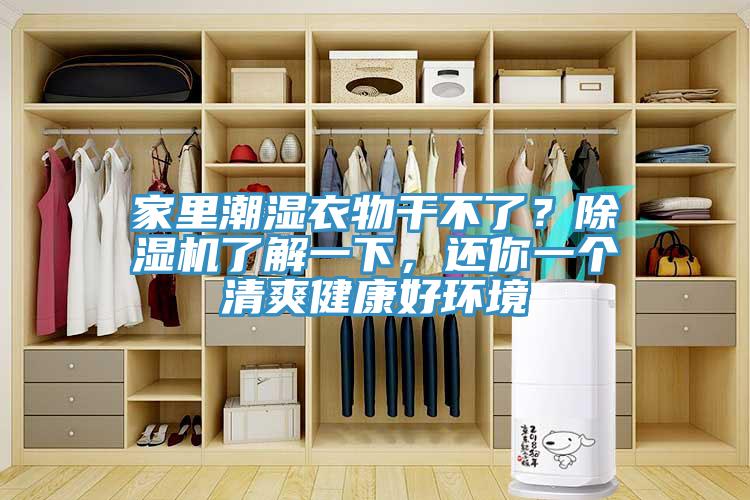 家里潮濕衣物干不了？除濕機了解一下，還你一個清爽健康好環境
