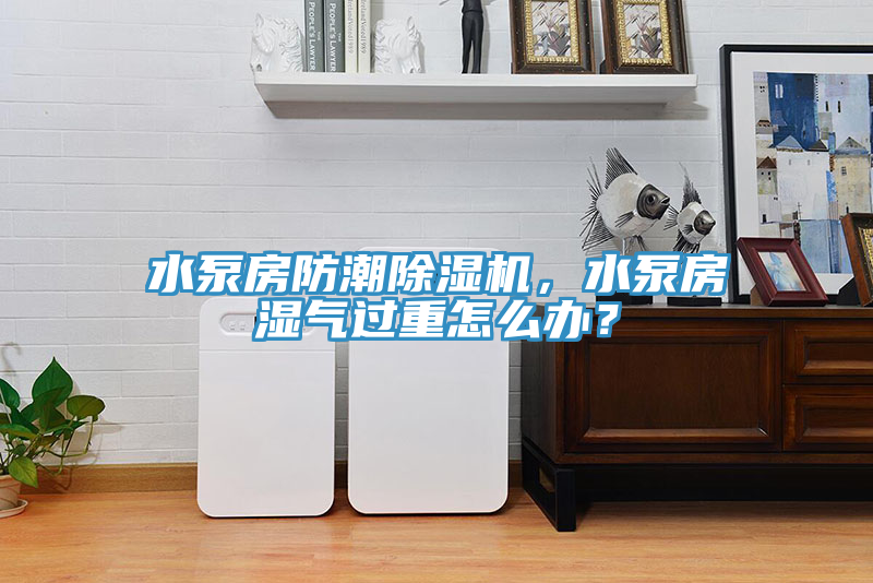 水泵房防潮除濕機(jī)，水泵房濕氣過重怎么辦？