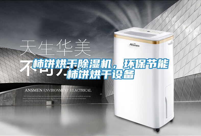 柿餅烘干除濕機，環保節能柿餅烘干設備