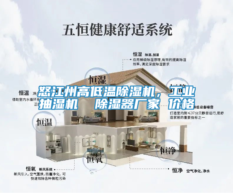 怒江州高低溫除濕機，工業抽濕機  除濕器廠家 價格