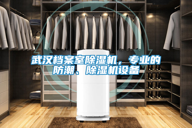 武漢檔案室除濕機，專業的防潮、除濕機設備