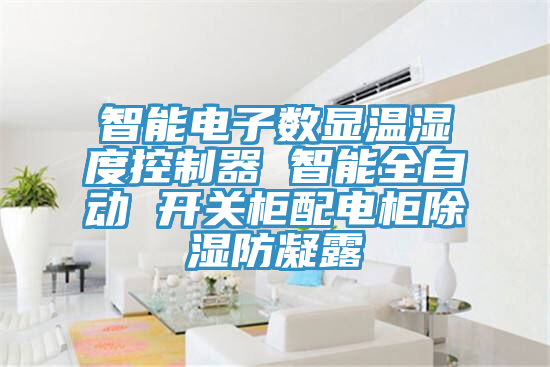 智能電子數顯溫濕度控制器 智能全自動 開關柜配電柜除濕防凝露