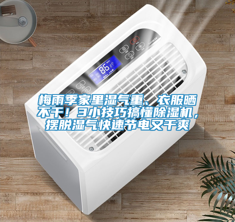 梅雨季家里濕氣重、衣服曬不干！3小技巧搞懂除濕機(jī)，擺脫濕氣快速節(jié)電又干爽