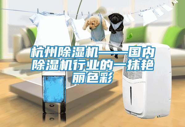 杭州除濕機——國內除濕機行業的一抹艷麗色彩