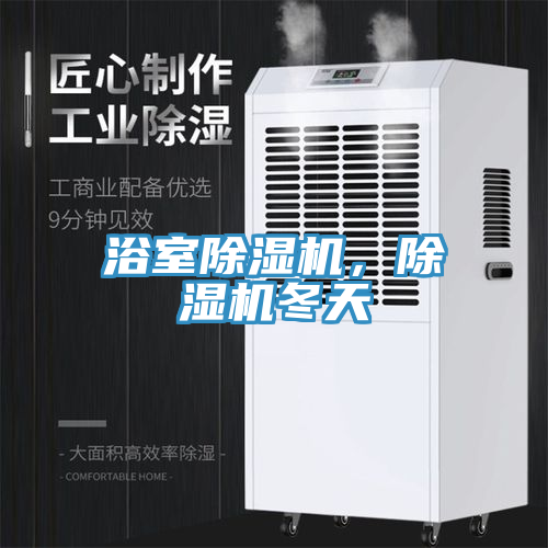 浴室除濕機，除濕機冬天