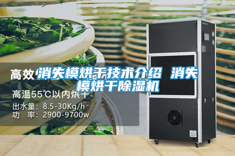 消失模烘干技術介紹 消失模烘干除濕機