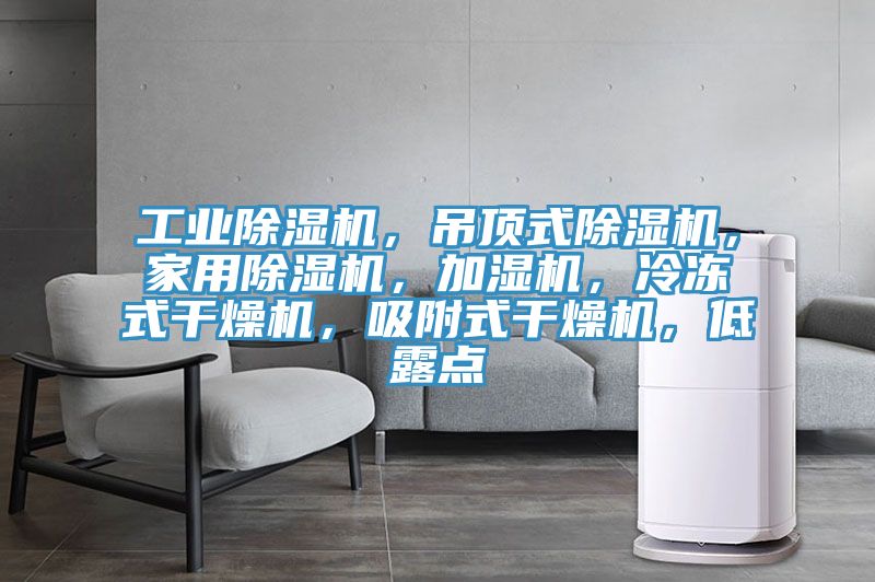 工業(yè)除濕機(jī)，吊頂式除濕機(jī)，家用除濕機(jī)，加濕機(jī)，冷凍式干燥機(jī)，吸附式干燥機(jī)，低露點(diǎn)