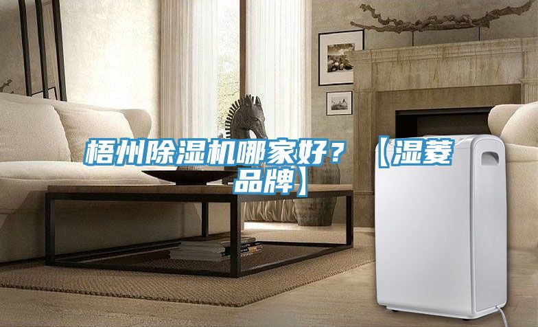 梧州除濕機哪家好？【濕菱品牌】