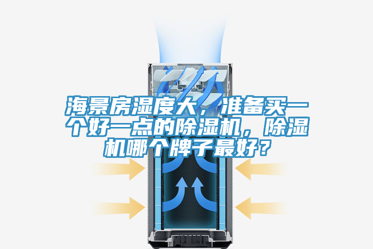 海景房濕度大，準備買一個好一點的除濕機，除濕機哪個牌子最好？