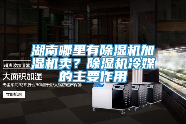 湖南哪里有除濕機加濕機賣？除濕機冷媒的主要作用